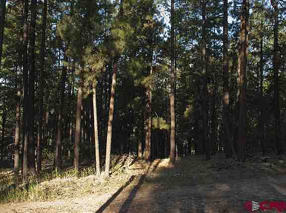 4th image of 57 Pine Cone Cir