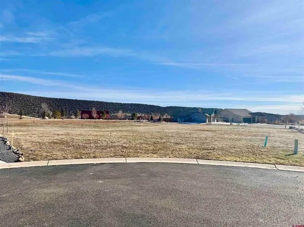 325 SE Limestone Court, Cedaredge, CO 81413