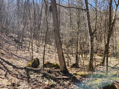 LOT D2 Gobblers Ln, Hillsboro, WV, 24946