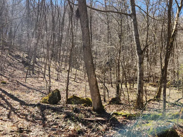 LOT D2 Gobblers Ln, Hillsboro, WV 24946