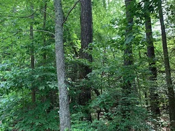 24108 Neblett Mill Rd, Waverly, VA 23890