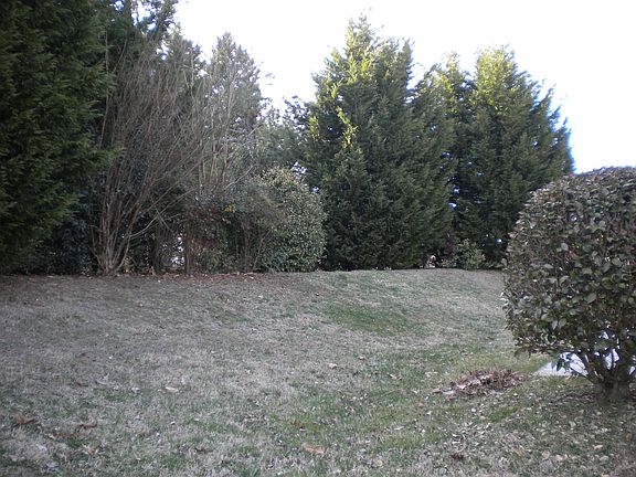 907 Claybrook Ct Backyard