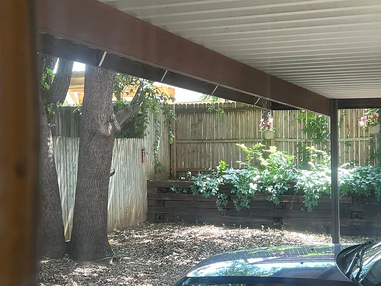 Carport in back yard