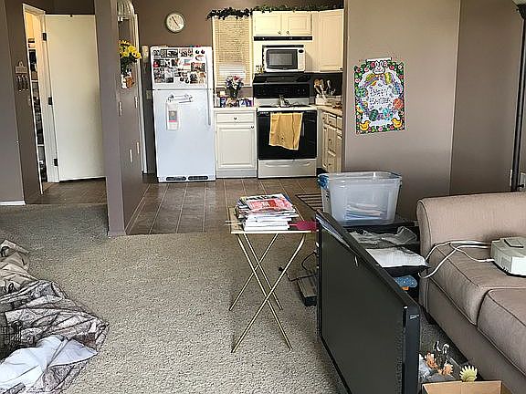 Living room and kitchen