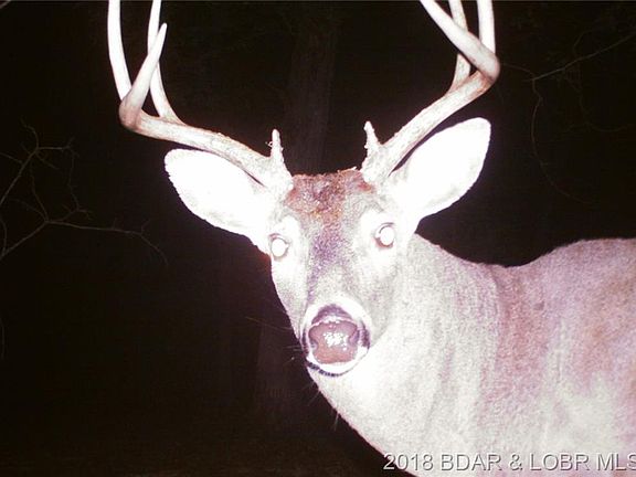 3rd image of 649 Stargazer Ln