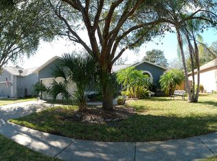 1335 Monte Lake Dr, Valrico, FL 33596