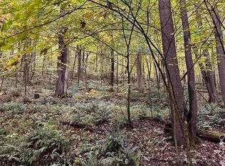 LOT 4&5 Deckers Trail Rd, Masontown, WV 26542