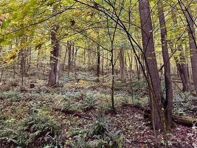 LOT 4&5 Deckers Trail Rd, Masontown, WV, 26542