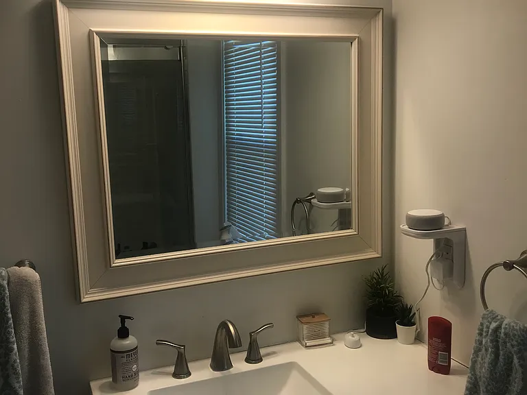 147 Spruce St #2 — Photo 6