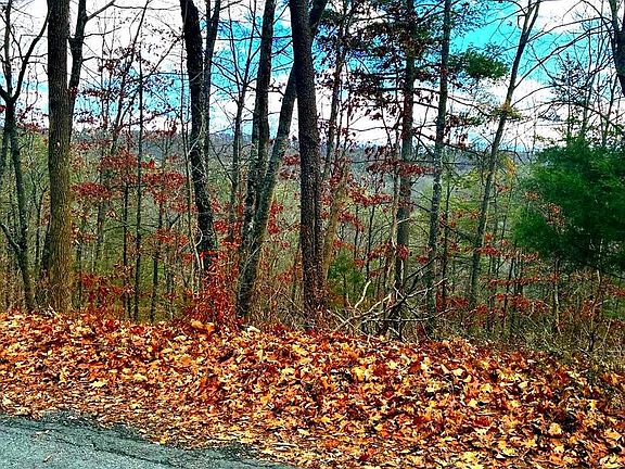 4th image of Spitz Ln