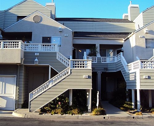 21 Baywood