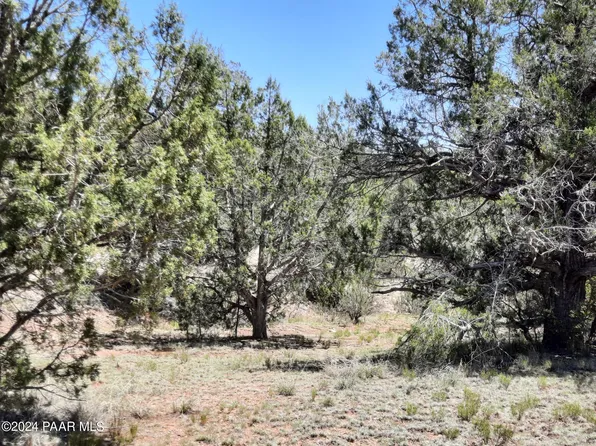 LOT-1404D W Bad Dog Rd, Seligman, AZ 86337