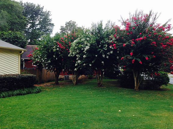 5th image of 4085 Wildflower Ln