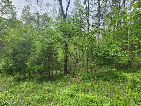 2921 W Cottonwood Rd, Morgantown, IN 46160