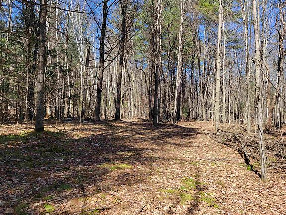 4th image of Map 105 Lot 20 Lost River Road