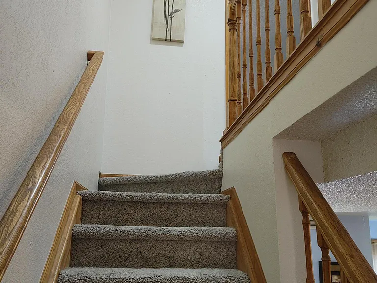 133 Pheasant Run — Photo 6