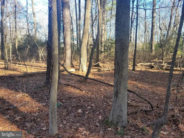 13 Holiday Ln, Hague, VA 22469