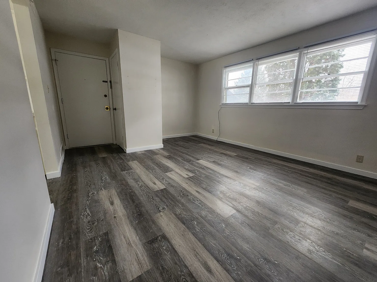 505 Wilshire Dr — Photo 2