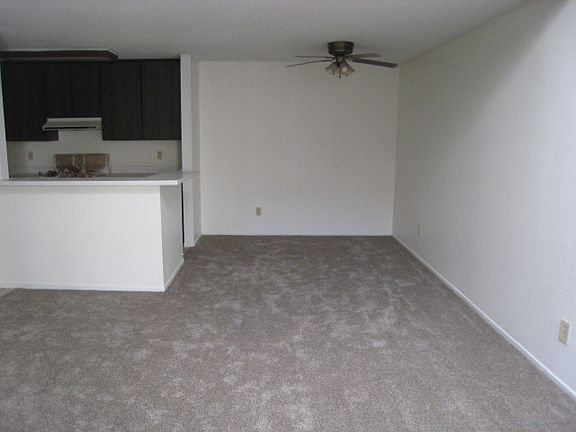 3rd image of 1611 Hotel Cir S Unit A303