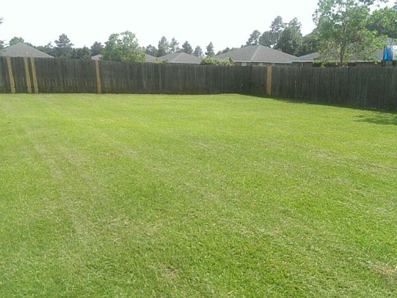 Fenced in Backyard