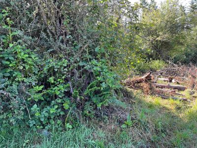 215 N Rossini Ln, Smith River, CA, 95567