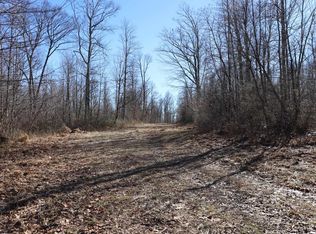 King Summit Rd, Coalton, WV 26257