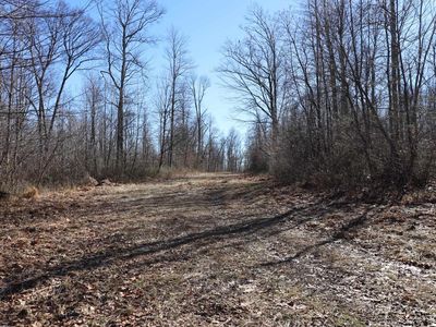 King Summit Rd, Coalton, WV, 26257