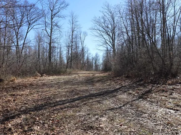 King Summit Rd, Coalton, WV 26257