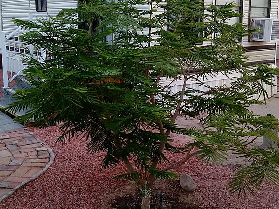 Landscaping with automatic sprinkers