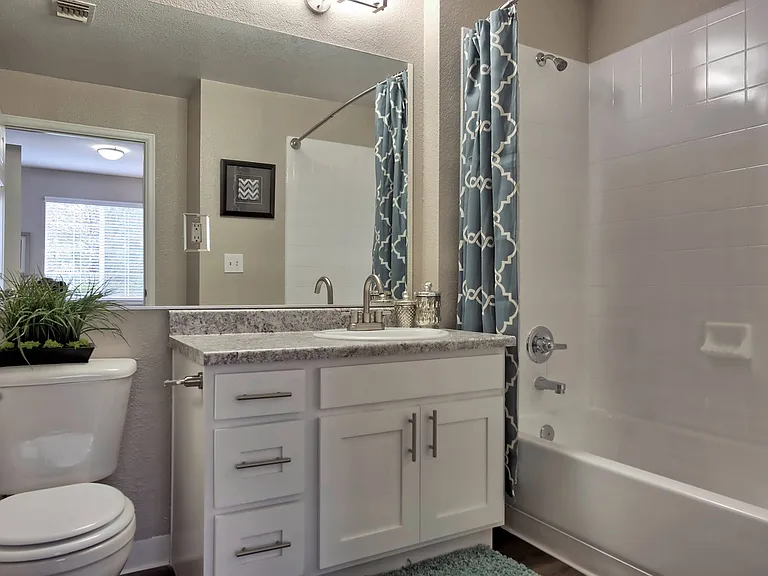 Full Bathroom View