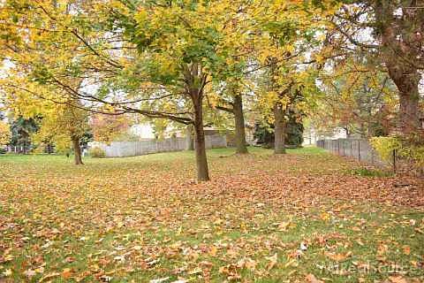 4th image of 5533 Folkstone Dr