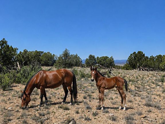 4th image of 18201 N Crossroads Ranch Rd