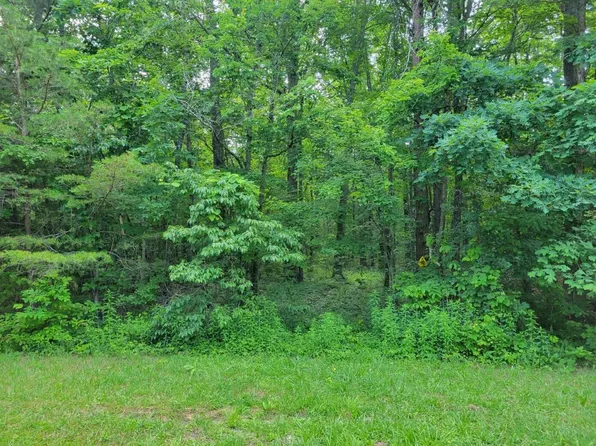 0 Ray Gadd Rd, Graysville, TN 37338