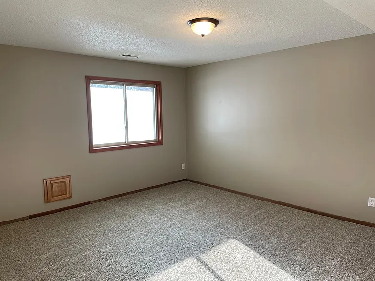 Lower-level 3rd bedroom