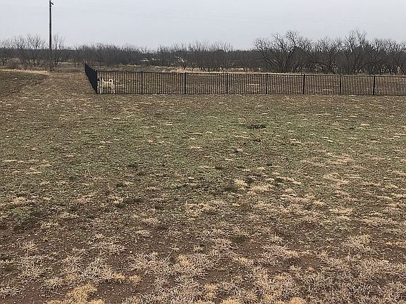 Yard + fence