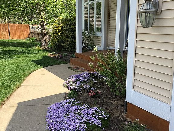 Summer 2020 Photo