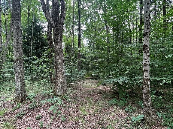 5th image of 619 Town Line Rd