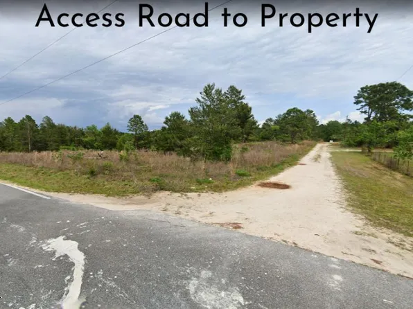 316 ORANGE BLOSSOM Street, Pomona Park, FL 32181