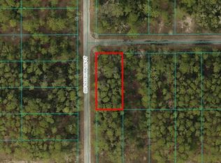 LOT 13 SW South Ct LOT 13, Dunnellon, FL 34431
