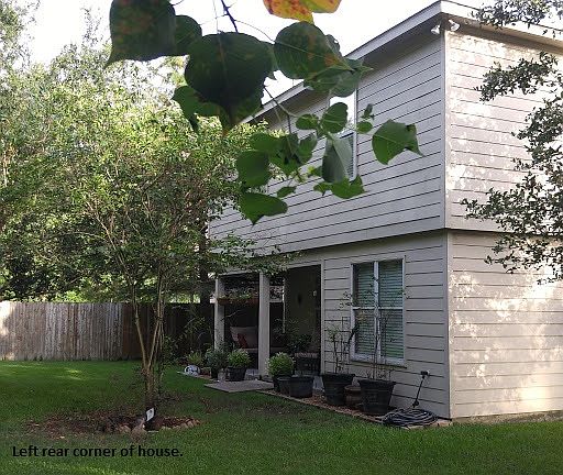 Rear yard.