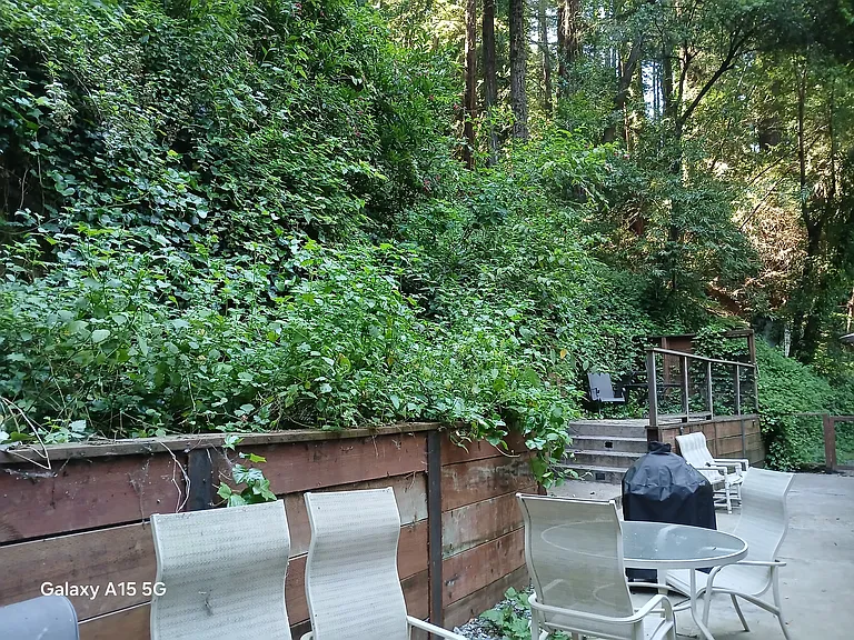 1639 River St — Photo 9