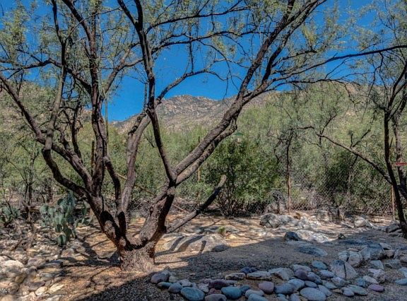 3rd image of 6655 N Canyon Crest Dr