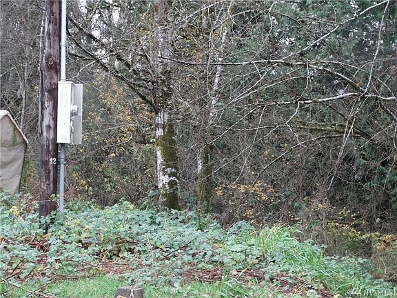 4th image of 8048 Mazama St SW