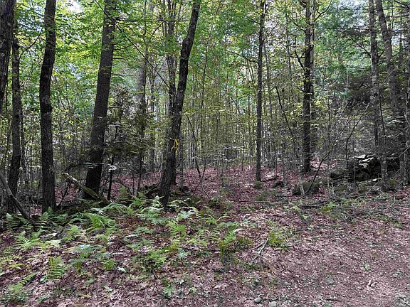 3rd image of 0 Old Pierce Road