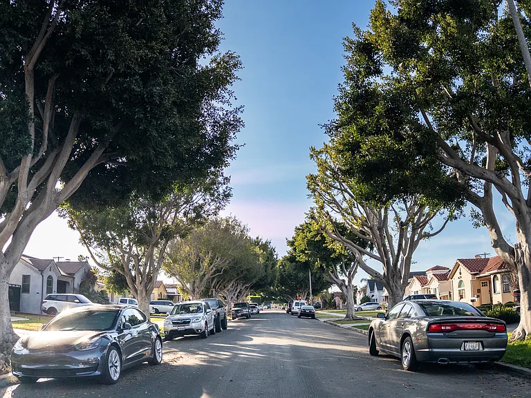 Quiet tree-lined street
