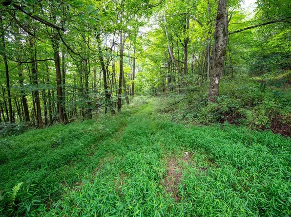 1 Bucklick Rd, Terra Alta, WV 26764