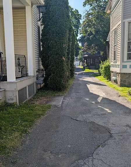 28 Vick Park #B-apt 3 — Photo 3