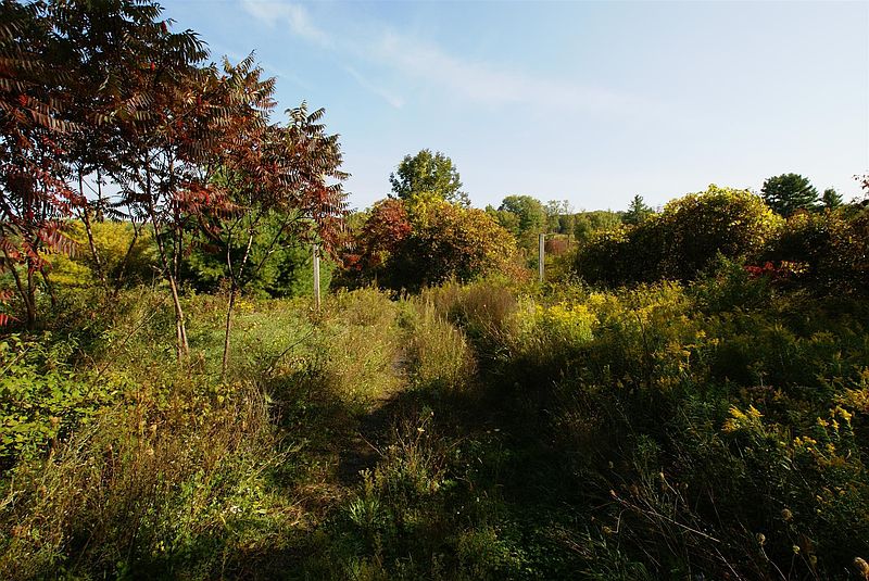 3rd image of COUNTY ROUTE 18