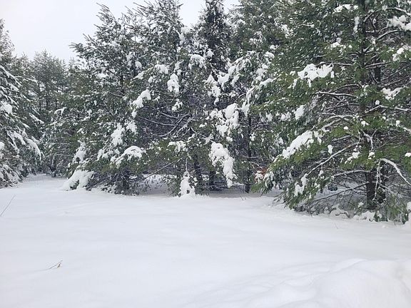 3rd image of LOT 16 Timbering Haven Dr