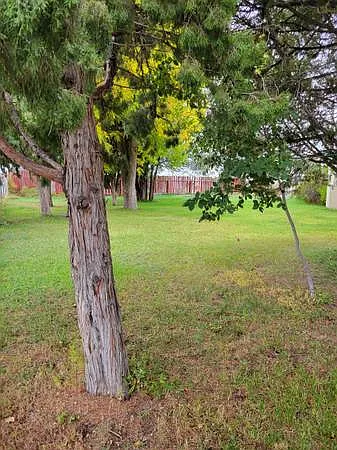 3 bed, 867 sqft, $1,295 — Photo 4